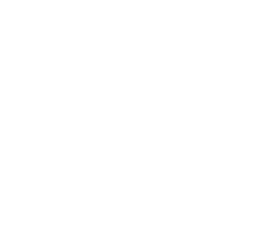 ZVEZDA PADALICA